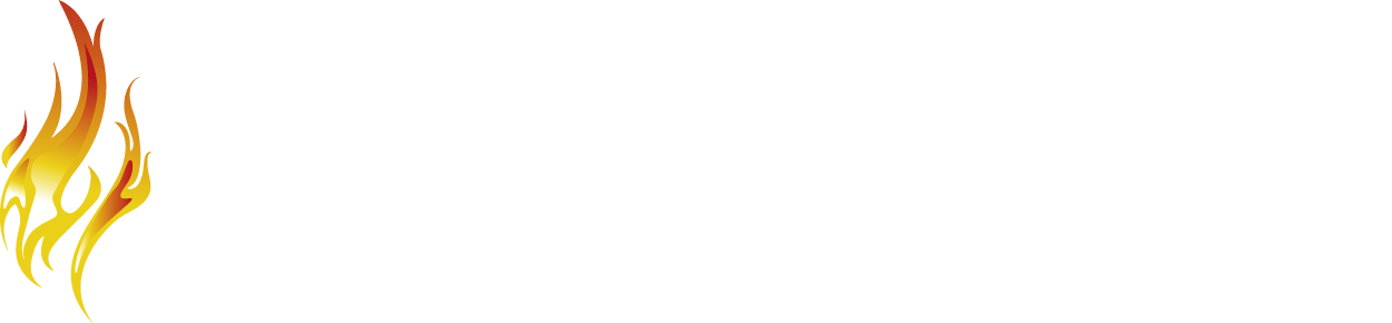 The Fire Store Logo